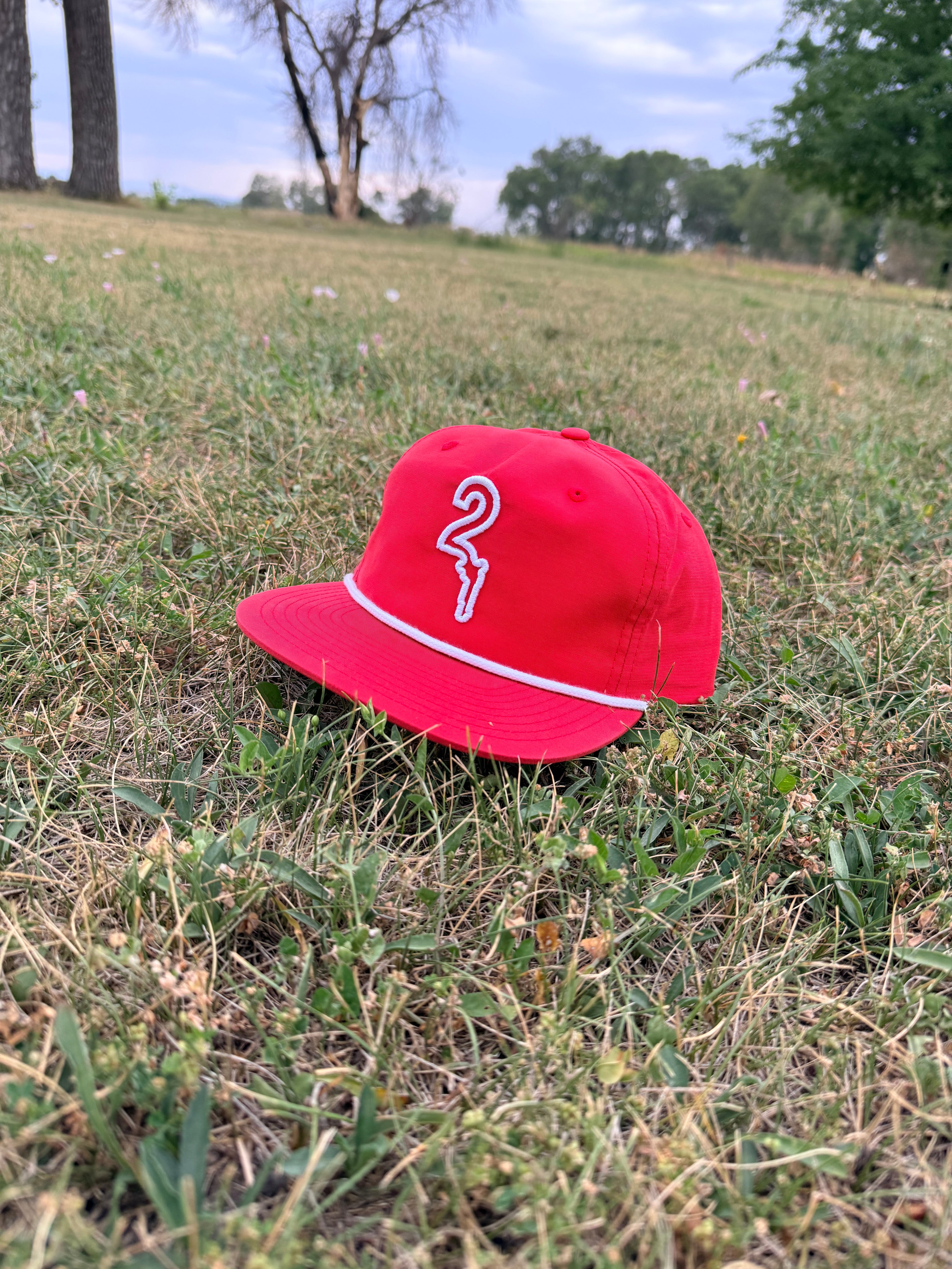 "Summer Swells" Snapback Hat