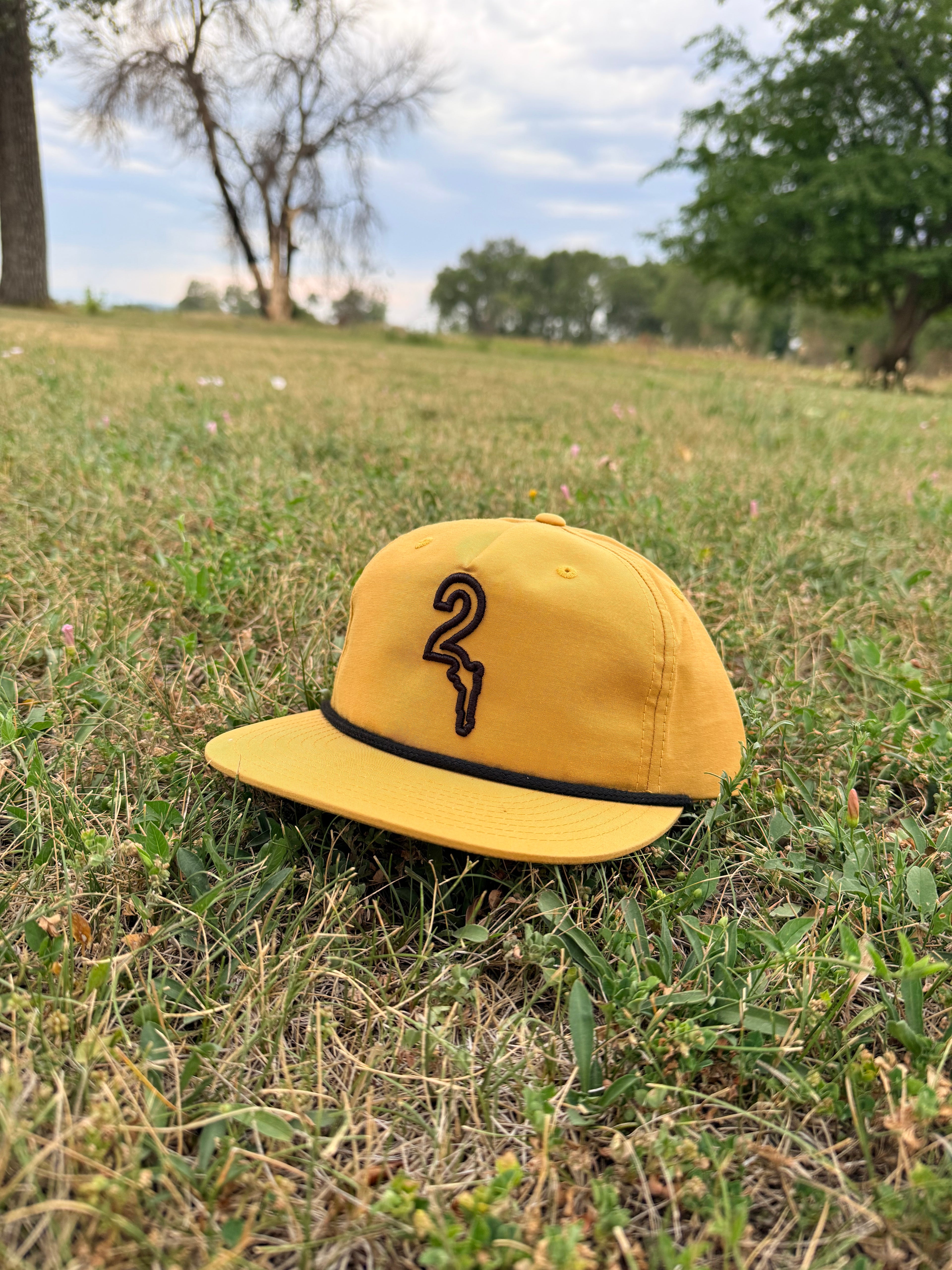 "Summer Swells" Snapback Hat