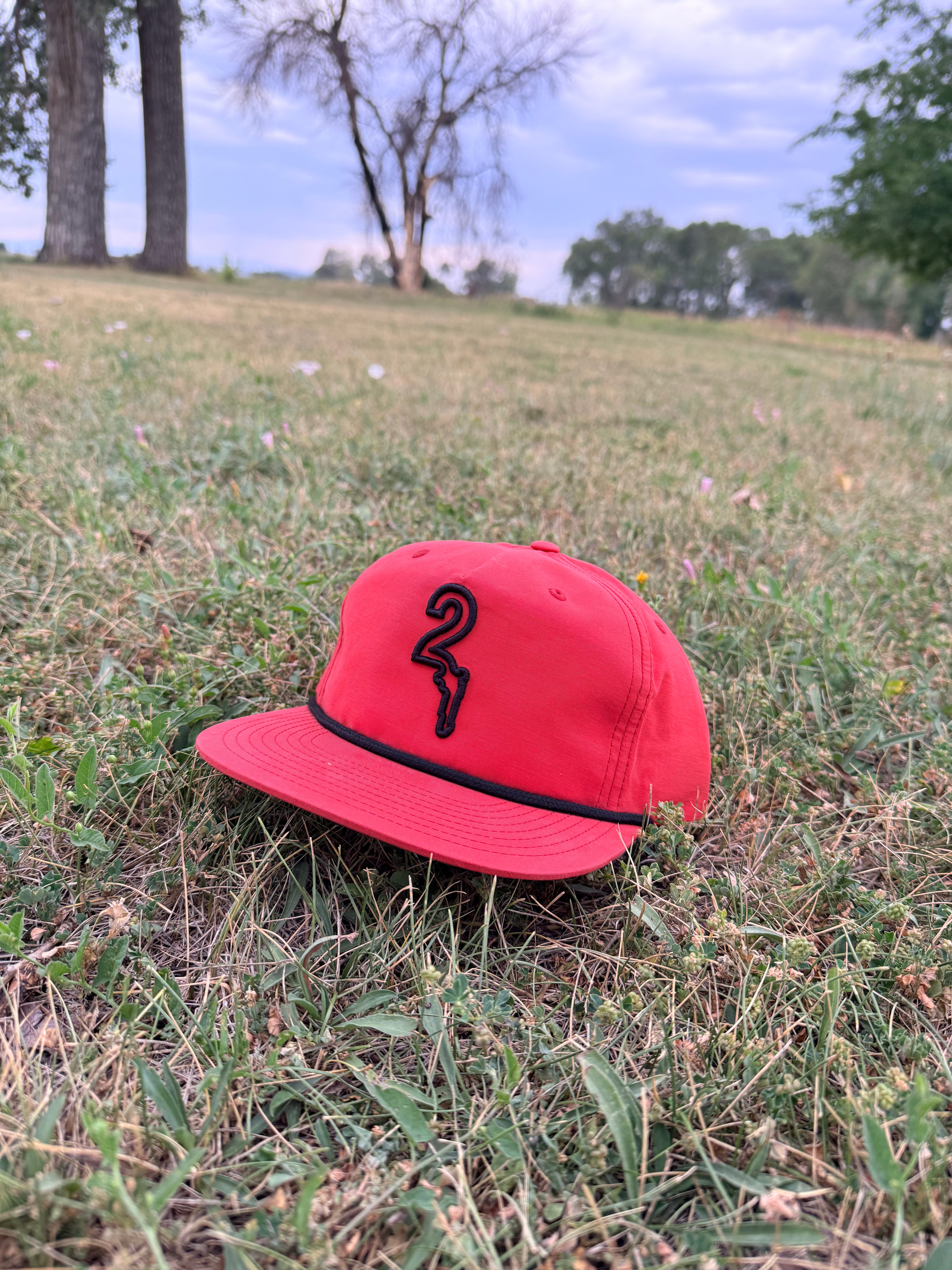 "Summer Swells" Snapback Hat