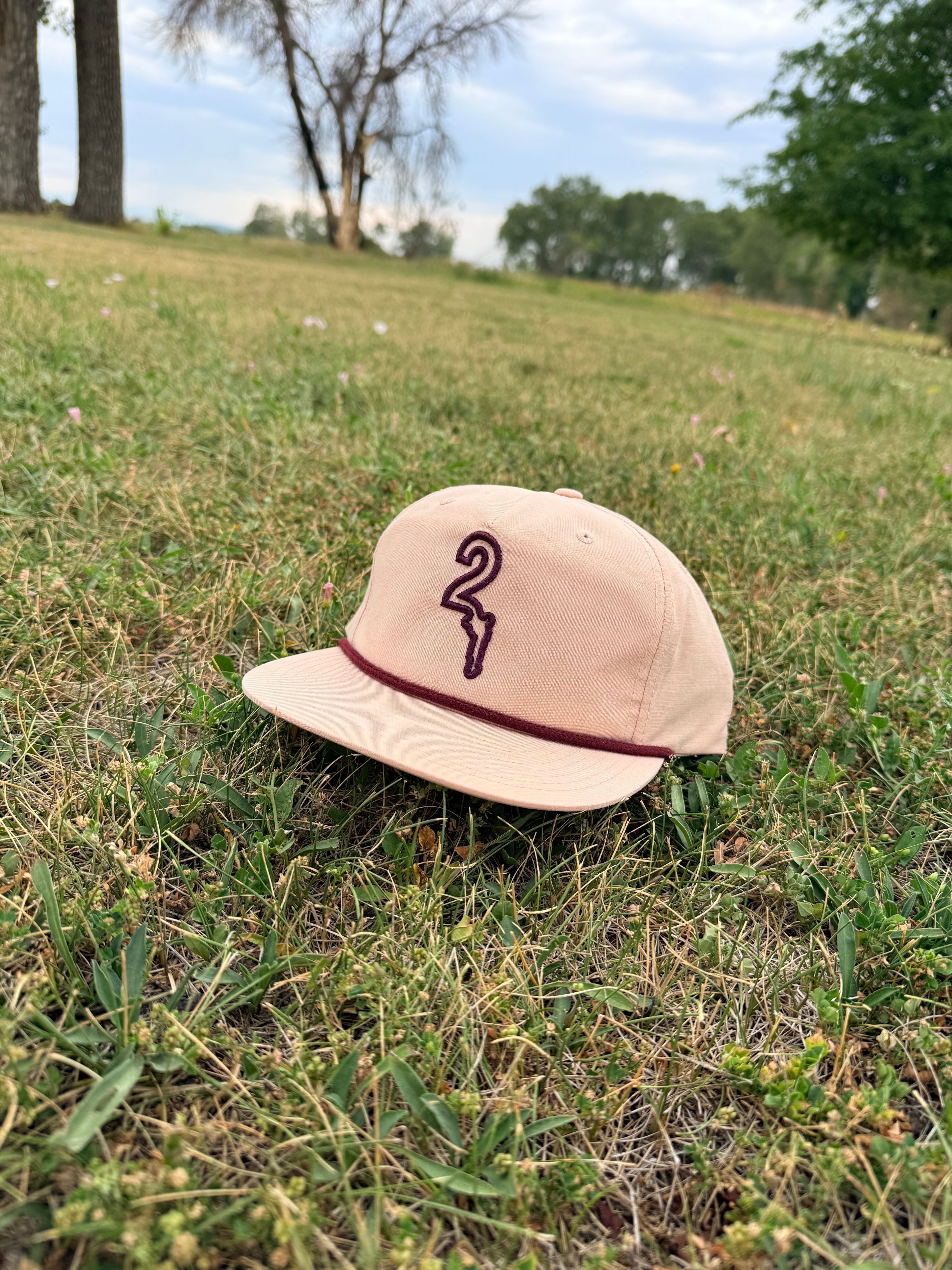 "Summer Swells" Snapback Hat