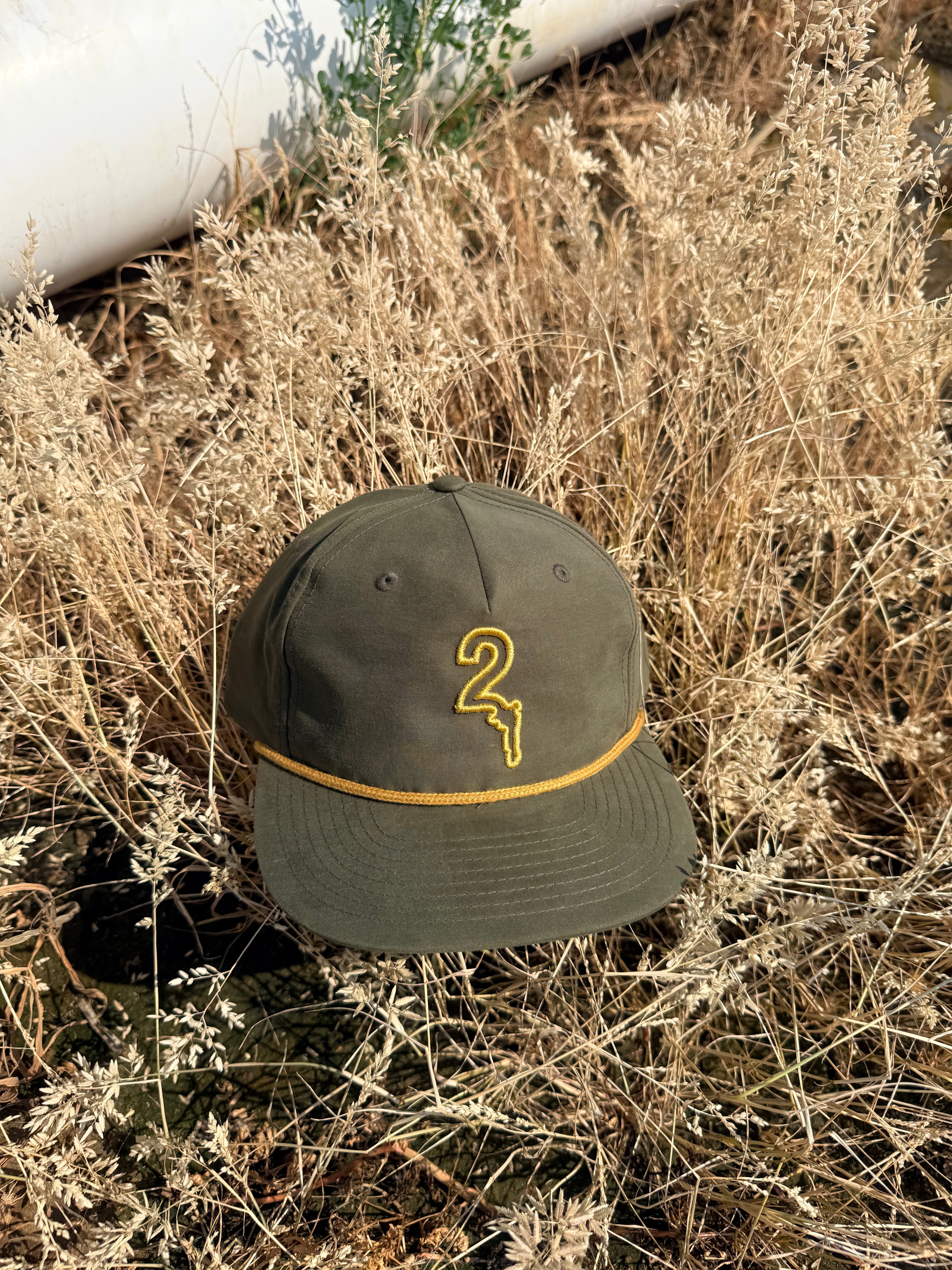 "Summer Swells" Snapback Hat